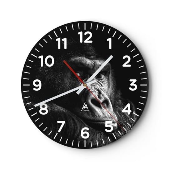 Zegar ścienny - I co się patrzysz? - 30x30cm - Małpa Goryl Zwierzęta - Okrągły zegar ścienny - Nowoczeny Stylowy Zegar do salonu do kuchni - Cichy i Modny zegar ARTTOR