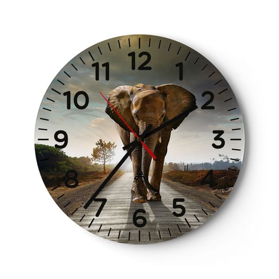 Zegar ścienny - I wcale nie w składzie porcelany - 30x30cm - Słoń Krajobraz Natura - Okrągły zegar ścienny - Nowoczeny Stylowy Zegar do salonu do kuchni - Cichy i Modny zegar ARTTOR