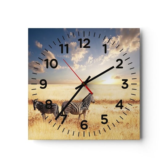 Zegar ścienny - Idź stąd, nie mąć spokoju - 40x40cm - Zwierzęta Zebra Safari - Kwadratowy zegar szklany - Nowoczeny Stylowy Zegar do salonu do kuchni - Cichy i Modny zegar ARTTOR