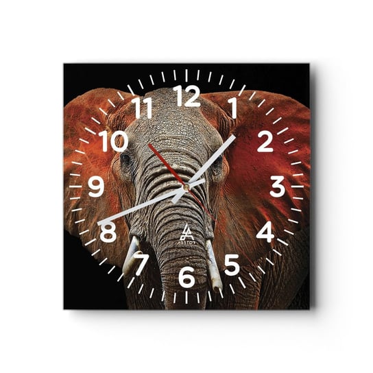 Zegar ścienny - Jestem dziki, a ty? - 30x30cm - Słoń Zwierzęta Afryka - Kwadratowy zegar ścienny - Nowoczeny Stylowy Zegar do salonu do kuchni - Cichy i Modny zegar ARTTOR