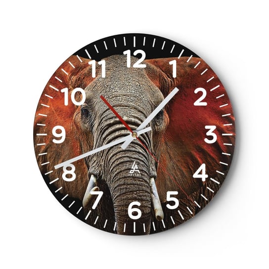 Zegar ścienny - Jestem dziki, a ty? - 40x40cm - Słoń Zwierzęta Afryka - Okrągły zegar szklany - Nowoczeny Stylowy Zegar do salonu do kuchni - Cichy i Modny zegar ARTTOR