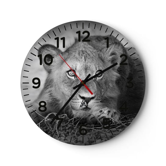 Zegar ścienny - Królewskie szczenię - 30x30cm - Zwierzęta Lew Czarno-Biały - Okrągły zegar ścienny - Nowoczeny Stylowy Zegar do salonu do kuchni - Cichy i Modny zegar ARTTOR