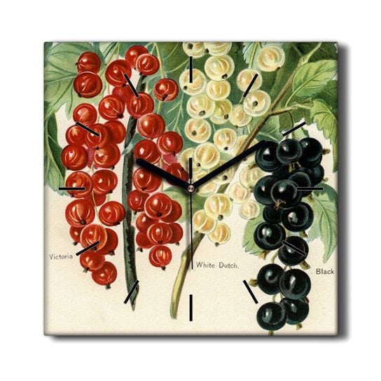 Zegar ścienny na płótnie Owoce gałąź liście 30x30, Coloray Coloray