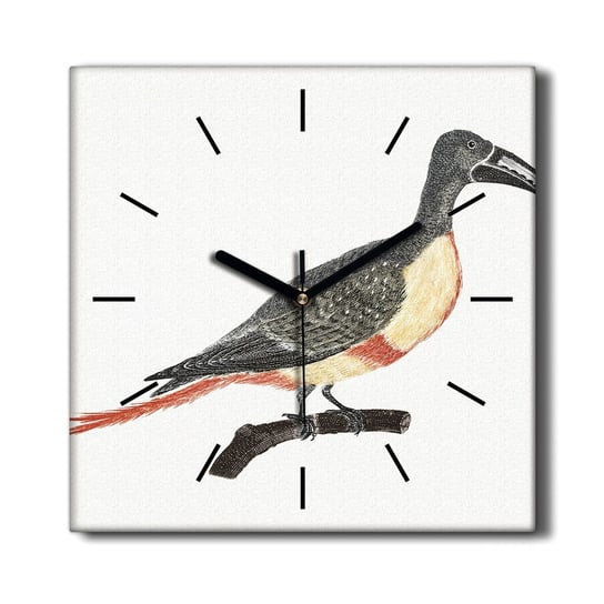 Zegar ścienny na płótnie Zwierzę ptak gałąź 30x30, Coloray Coloray