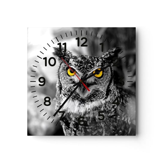 Zegar ścienny - Nic się nie ukryje - 30x30cm - Ptaki Sowa Natura - Kwadratowy zegar ścienny - Nowoczeny Stylowy Zegar do salonu do kuchni - Cichy i Modny zegar ARTTOR