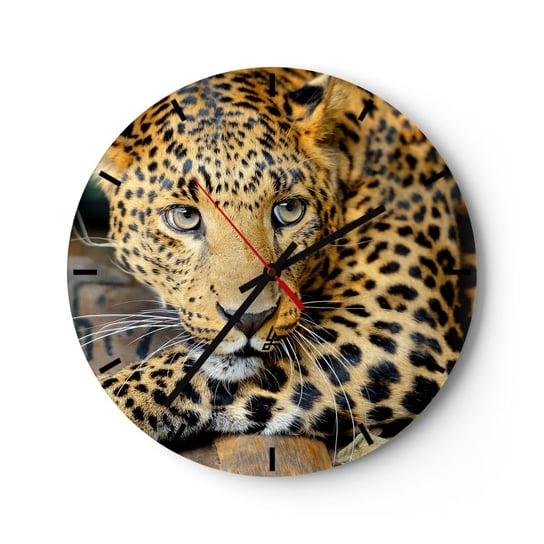 Zegar ścienny - Nie bój się, podejdź - 40x40cm - Zwierzęta Pantera Dziki Kot - Okrągły zegar ścienny - Nowoczeny Stylowy Zegar do salonu do kuchni - Cichy i Modny zegar ARTTOR