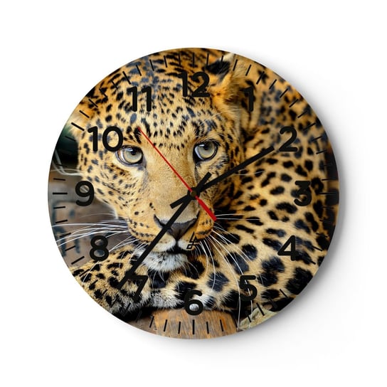 Zegar ścienny - Nie bój się, podejdź - 40x40cm - Zwierzęta Pantera Dziki Kot - Okrągły zegar szklany - Nowoczeny Stylowy Zegar do salonu do kuchni - Cichy i Modny zegar ARTTOR
