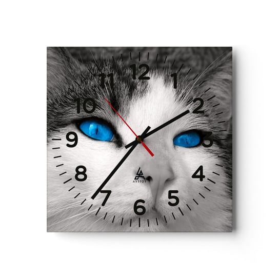 Zegar ścienny - Niezwykły niebieskooki - 30x30cm - Zwierzęta Kot Niebieskie Oczy - Kwadratowy zegar ścienny - Nowoczeny Stylowy Zegar do salonu do kuchni - Cichy i Modny zegar ARTTOR
