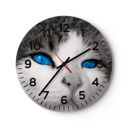 Zegar ścienny - Niezwykły niebieskooki - 40x40cm - Zwierzęta Kot Niebieskie Oczy - Okrągły zegar szklany - Nowoczeny Stylowy Zegar do salonu do kuchni - Cichy i Modny zegar ARTTOR