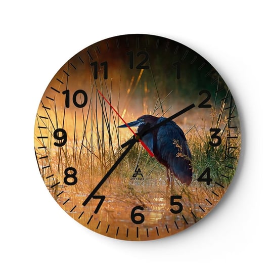Zegar ścienny - No dajcie mi spokój z tymi zdjęciami - 30x30cm - Czapla Ptak Natura - Okrągły zegar ścienny - Nowoczeny Stylowy Zegar do salonu do kuchni - Cichy i Modny zegar ARTTOR