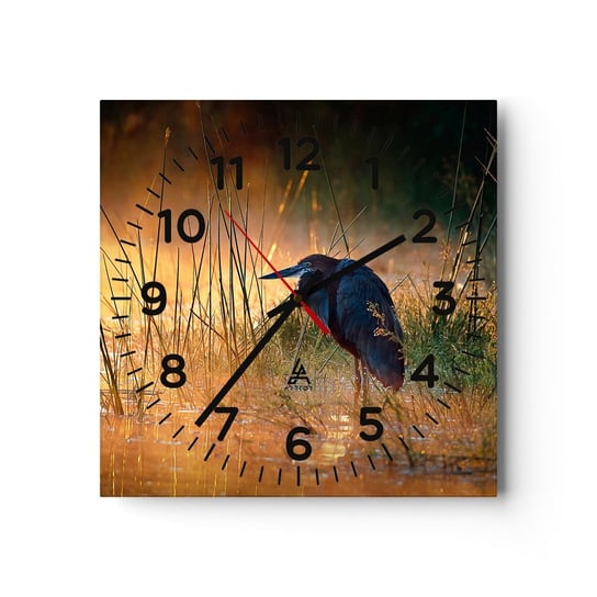 Zegar ścienny - No dajcie mi spokój z tymi zdjęciami - 40x40cm - Czapla Ptak Natura - Kwadratowy zegar szklany - Nowoczeny Stylowy Zegar do salonu do kuchni - Cichy i Modny zegar ARTTOR