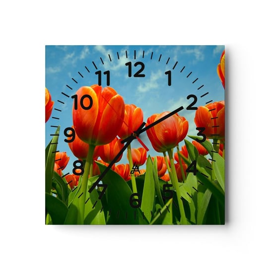 Zegar ścienny - Oprócz błękitnego nieba nic im w życiu nie potrzeba - 30x30cm - Kwiaty Tulipany Natura - Kwadratowy zegar ścienny - Nowoczeny Stylowy Zegar do salonu do kuchni - Cichy i Modny zegar ARTTOR