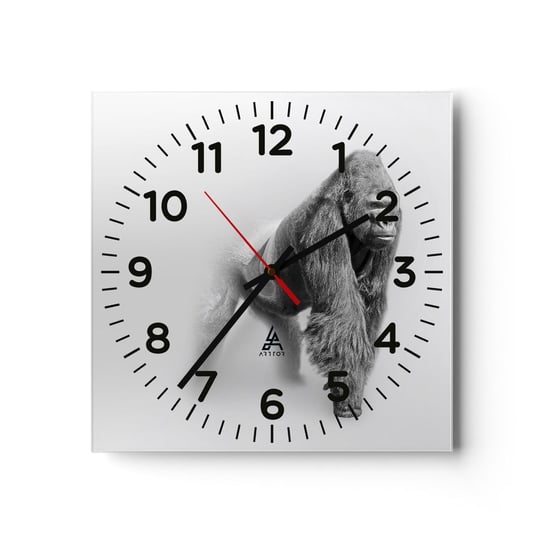 Zegar ścienny - Pewny swej siły - 30x30cm - Zwierzęta Goryl Małpa - Kwadratowy zegar ścienny - Nowoczeny Stylowy Zegar do salonu do kuchni - Cichy i Modny zegar ARTTOR