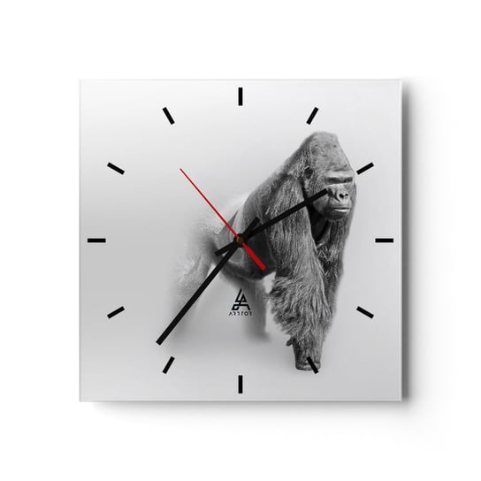 Zegar ścienny - Pewny swej siły - 40x40cm - Zwierzęta Goryl Małpa - Kwadratowy zegar ścienny - Nowoczeny Stylowy Zegar do salonu do kuchni - Cichy i Modny zegar ARTTOR