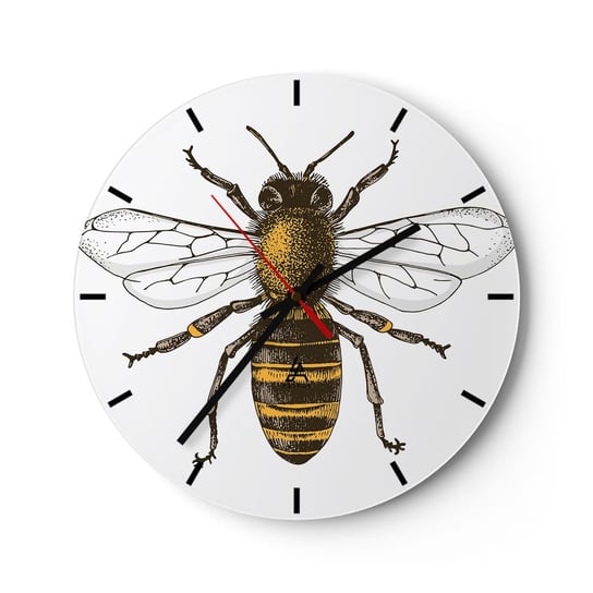 Zegar ścienny - Piękna i dobra - 30x30cm - Pszczoła Owad Natura - Okrągły zegar na szkle - Nowoczeny Stylowy Zegar do salonu do kuchni - Cichy i Modny zegar ARTTOR