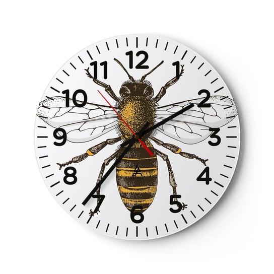 Zegar ścienny - Piękna i dobra - 30x30cm - Pszczoła Owad Natura - Okrągły zegar ścienny - Nowoczeny Stylowy Zegar do salonu do kuchni - Cichy i Modny zegar ARTTOR