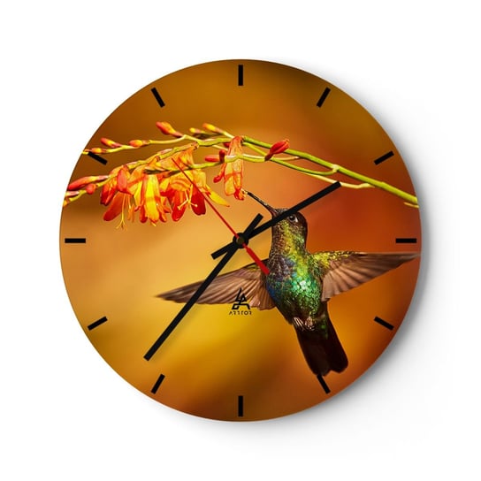 Zegar ścienny - Posłaniec światła wg Majów - 30x30cm - Koliber Ptak Natura - Okrągły zegar na szkle - Nowoczeny Stylowy Zegar do salonu do kuchni - Cichy i Modny zegar ARTTOR