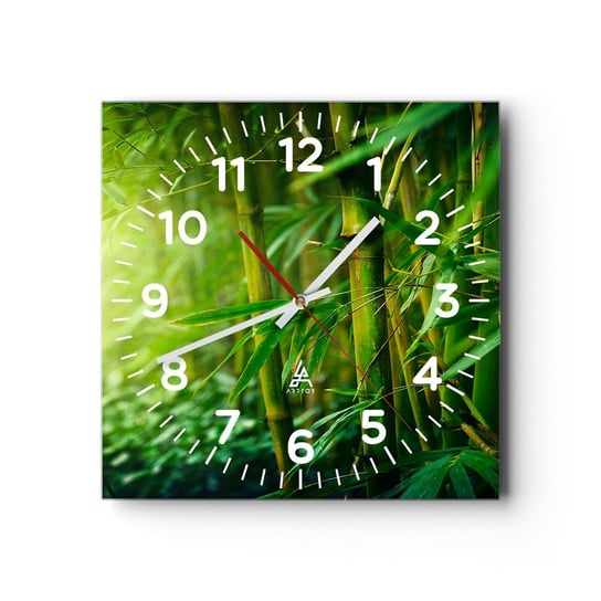 Zegar ścienny - Poznać zieleń samą w sobie - 30x30cm - Roślina Bambus Dżungla - Kwadratowy zegar ścienny - Nowoczeny Stylowy Zegar do salonu do kuchni - Cichy i Modny zegar ARTTOR