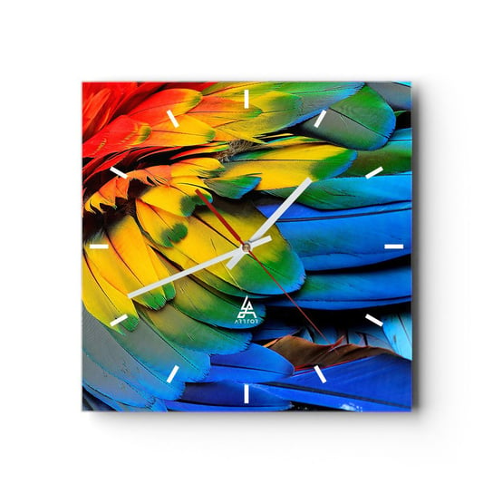 Zegar ścienny - Rajski ptak - 30x30cm - Kolorowe Pióra Pióra Papugi Zwierzęta - Kwadratowy zegar na szkle - Nowoczeny Stylowy Zegar do salonu do kuchni - Cichy i Modny zegar ARTTOR