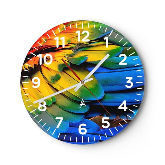 Zegar ścienny - Rajski ptak - 30x30cm - Kolorowe Pióra Pióra Papugi Zwierzęta - Okrągły zegar ścienny - Nowoczeny Stylowy Zegar do salonu do kuchni - Cichy i Modny zegar ARTTOR
