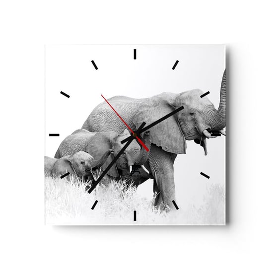 Zegar ścienny - Raz, dwa, trzy - 30x30cm - Zwierzęta Słoń Czarno-Biały - Kwadratowy zegar na szkle - Nowoczeny Stylowy Zegar do salonu do kuchni - Cichy i Modny zegar ARTTOR