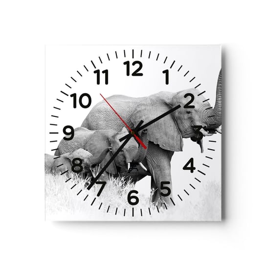 Zegar ścienny - Raz, dwa, trzy - 30x30cm - Zwierzęta Słoń Czarno-Biały - Kwadratowy zegar ścienny - Nowoczeny Stylowy Zegar do salonu do kuchni - Cichy i Modny zegar ARTTOR