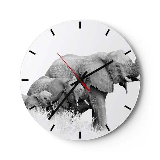 Zegar ścienny - Raz, dwa, trzy - 30x30cm - Zwierzęta Słoń Czarno-Biały - Okrągły zegar na szkle - Nowoczeny Stylowy Zegar do salonu do kuchni - Cichy i Modny zegar ARTTOR