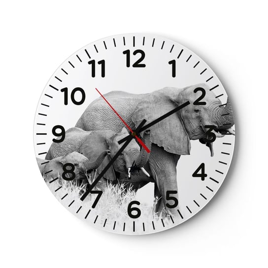 Zegar ścienny -  Raz, dwa, trzy - 30x30cm - Zwierzęta Słoń Czarno-Biały - Okrągły zegar ścienny - Nowoczeny Stylowy Zegar do salonu do kuchni - Cichy i Modny zegar ARTTOR