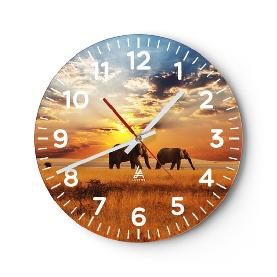 Zegar ścienny - Rodzinna przechadzka - 30x30cm - Zwierzęta Afryka Słoń - Okrągły zegar ścienny - Nowoczeny Stylowy Zegar do salonu do kuchni - Cichy i Modny zegar ARTTOR