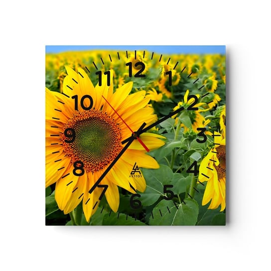 Zegar ścienny - Rozgorzały setki słońc - 40x40cm - Kwiaty Słoneczniki Natura - Kwadratowy zegar szklany - Nowoczeny Stylowy Zegar do salonu do kuchni - Cichy i Modny zegar ARTTOR