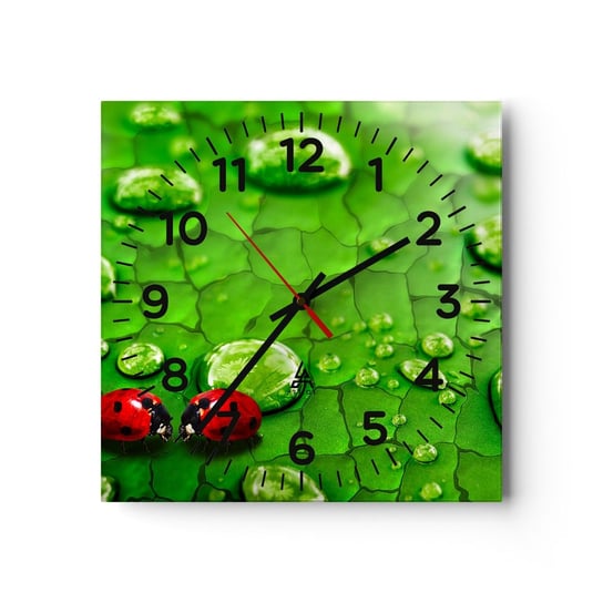 Zegar ścienny - Spotkanie w zieleni - 30x30cm - Natura Biedronka Kropla Wody - Kwadratowy zegar ścienny - Nowoczeny Stylowy Zegar do salonu do kuchni - Cichy i Modny zegar ARTTOR