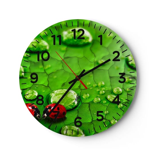Zegar ścienny - Spotkanie w zieleni - 30x30cm - Natura Biedronka Kropla Wody - Okrągły zegar ścienny - Nowoczeny Stylowy Zegar do salonu do kuchni - Cichy i Modny zegar ARTTOR