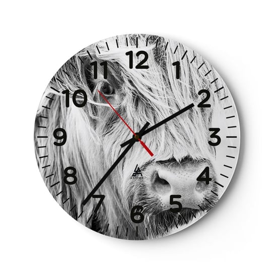 Zegar ścienny - Szkocka dzikość - 30x30cm - Szkocka Krowa Górska Zwierzęta Czarno-Biały - Okrągły zegar ścienny - Nowoczeny Stylowy Zegar do salonu do kuchni - Cichy i Modny zegar ARTTOR