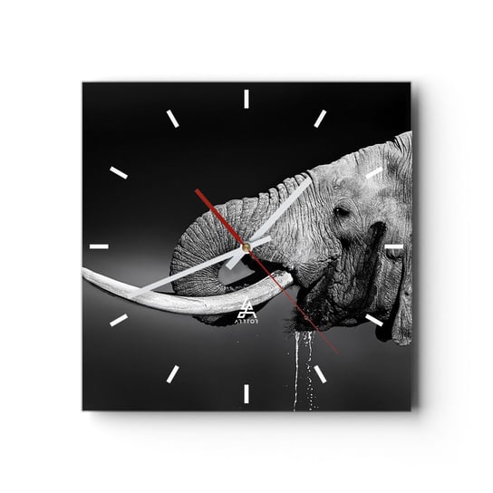 Zegar ścienny - Tak, teraz dobrze - 30x30cm - Zwierzęta Słoń Afryka - Kwadratowy zegar na szkle - Nowoczeny Stylowy Zegar do salonu do kuchni - Cichy i Modny zegar ARTTOR