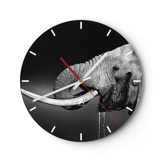 Zegar ścienny - Tak, teraz dobrze - 30x30cm - Zwierzęta Słoń Afryka - Okrągły zegar na szkle - Nowoczeny Stylowy Zegar do salonu do kuchni - Cichy i Modny zegar ARTTOR