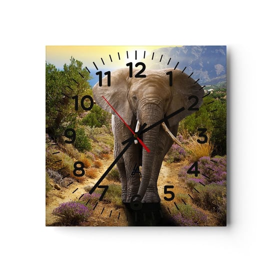 Zegar ścienny - Tak wyglądał Eden - 40x40cm - Zwierzęta Słoń Safari - Kwadratowy zegar szklany - Nowoczeny Stylowy Zegar do salonu do kuchni - Cichy i Modny zegar ARTTOR