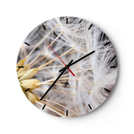Zegar ścienny - Tuż przed odlotem - 40x40cm - Kwiat Roślina Natura - Okrągły zegar ścienny - Nowoczeny Stylowy Zegar do salonu do kuchni - Cichy i Modny zegar ARTTOR