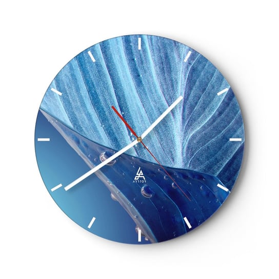 Zegar ścienny - Ukryte krople błękitu - 40x40cm - Liść Roślina Natura - Okrągły zegar ścienny - Nowoczeny Stylowy Zegar do salonu do kuchni - Cichy i Modny zegar ARTTOR