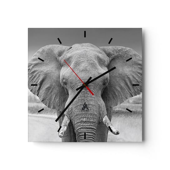 Zegar ścienny - Witaj w moim świecie - 30x30cm - Słoń Afryka Zwierzęta - Kwadratowy zegar na szkle - Nowoczeny Stylowy Zegar do salonu do kuchni - Cichy i Modny zegar ARTTOR