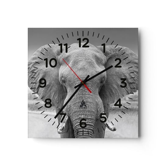Zegar ścienny - Witaj w moim świecie - 30x30cm - Słoń Afryka Zwierzęta - Kwadratowy zegar ścienny - Nowoczeny Stylowy Zegar do salonu do kuchni - Cichy i Modny zegar ARTTOR
