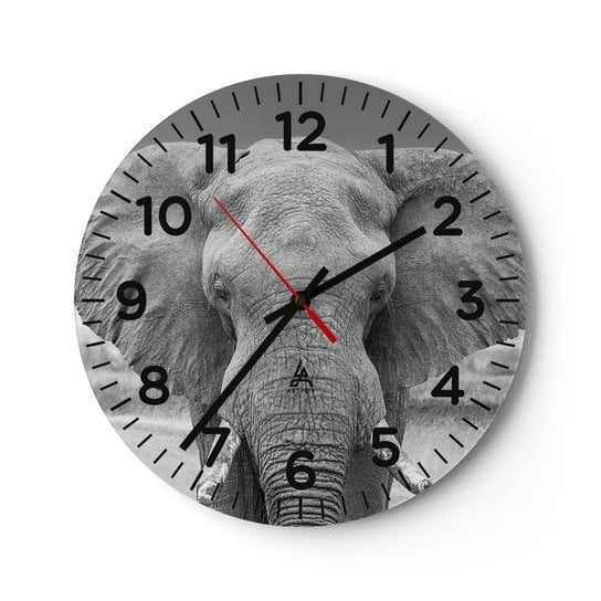 Zegar ścienny - Witaj w moim świecie - 30x30cm - Słoń Afryka Zwierzęta - Okrągły zegar ścienny - Nowoczeny Stylowy Zegar do salonu do kuchni - Cichy i Modny zegar ARTTOR