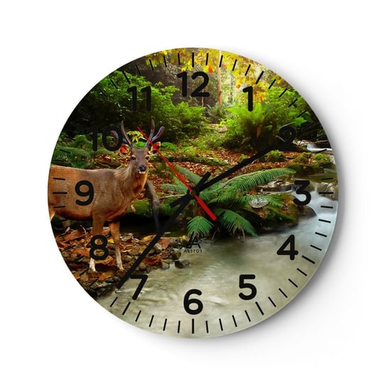 Zegar ścienny - Witam w moim świecie - 30x30cm - Krajobraz Zwierzęta Jeleń - Okrągły zegar ścienny - Nowoczeny Stylowy Zegar do salonu do kuchni - Cichy i Modny zegar ARTTOR