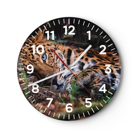 Zegar ścienny - Zaufaj mi - 30x30cm - Lampart Zwierzęta Afryka - Okrągły zegar ścienny - Nowoczeny Stylowy Zegar do salonu do kuchni - Cichy i Modny zegar ARTTOR