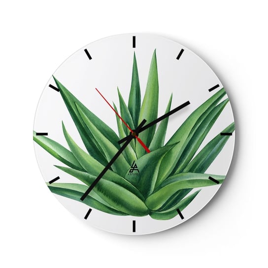 Zegar ścienny - Zieleń – siła – życie - 30x30cm - Roślina Aloes Botanika - Okrągły zegar na szkle - Nowoczeny Stylowy Zegar do salonu do kuchni - Cichy i Modny zegar ARTTOR