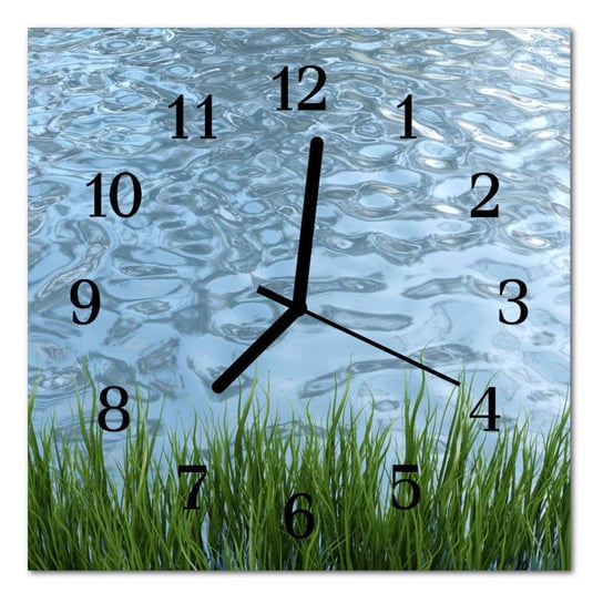 Zegar szklany ścienny Cichy Woda z trawy Gras Woda Tulup
