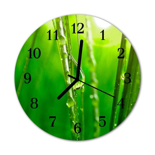 Zegarek na szkle PrezentKrople trawy Kwiaty Tulup