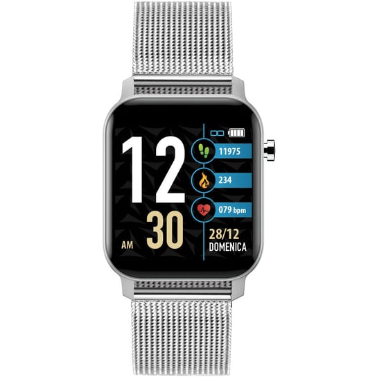 Zegarek Smartwatch Męski Techmade TM-TWX-MSIL srebrny Inna marka