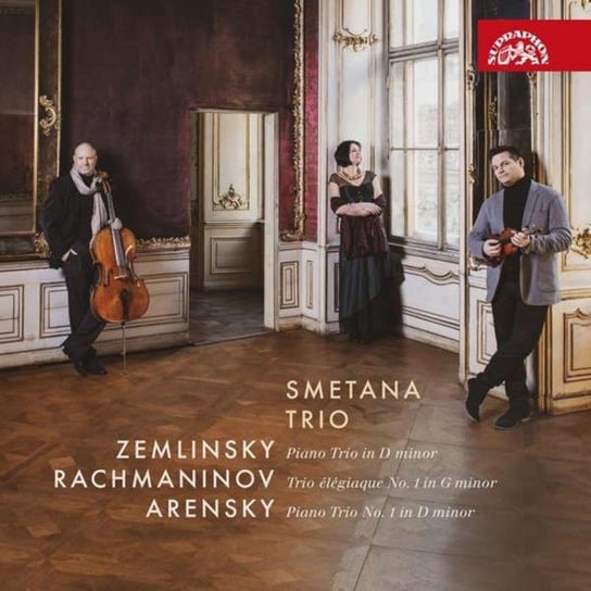 Zemlinsky: Piano Trio In D Minor Various Artists