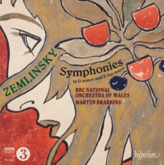 Zemlinsky: Symphony in D minor / Symphony in B ﬂat major Various Artists