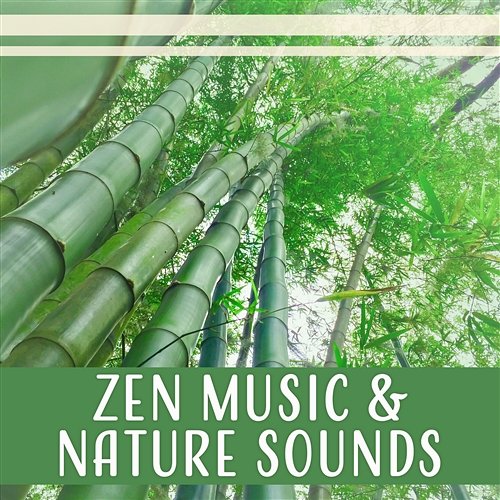 Zen Music & Nature Sounds - 50 Yoga Meditation Tracks for Stress Relief, Yoga and Sleep, Relaxation Music Therapy and Healing Zen Relaxation Academy
